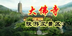好美女这骚逼中国浙江-新昌大佛寺旅游风景区